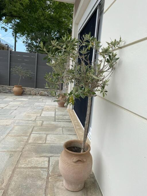 Villa Oleander Agios Nikolaos Loutra Edipsou エクステリア 写真