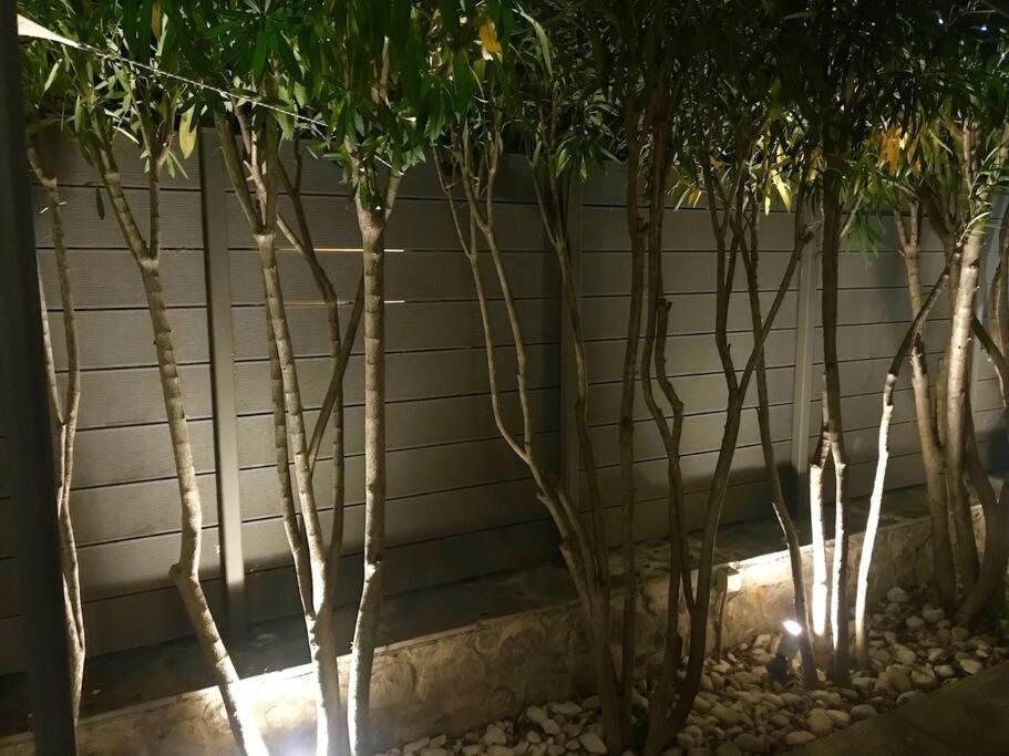 Villa Oleander Agios Nikolaos Loutra Edipsou エクステリア 写真