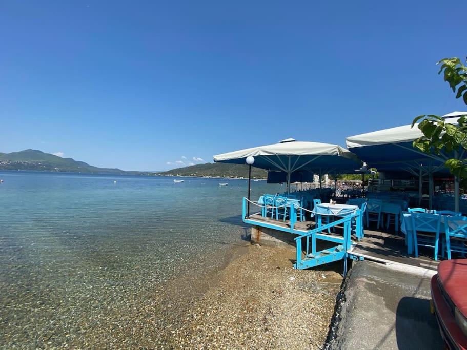 Villa Oleander Agios Nikolaos Loutra Edipsou エクステリア 写真