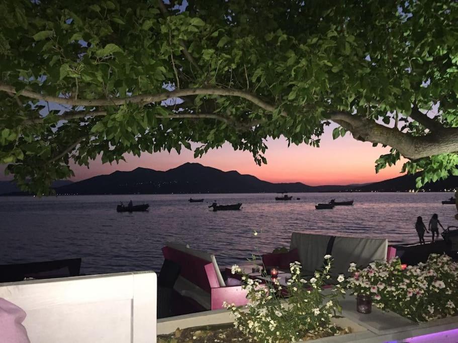 Villa Oleander Agios Nikolaos Loutra Edipsou エクステリア 写真